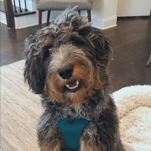 Meet your Posher, Hannah